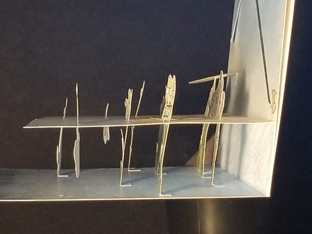 Side